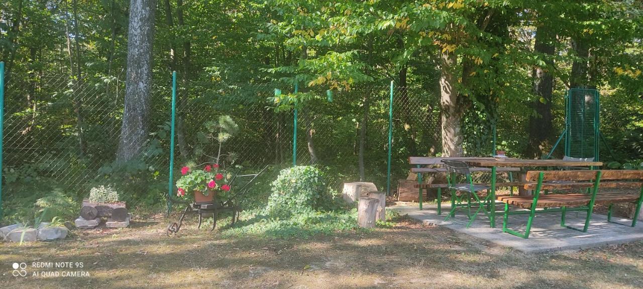 Holiday Home Nina Petrinja Екстер'єр фото